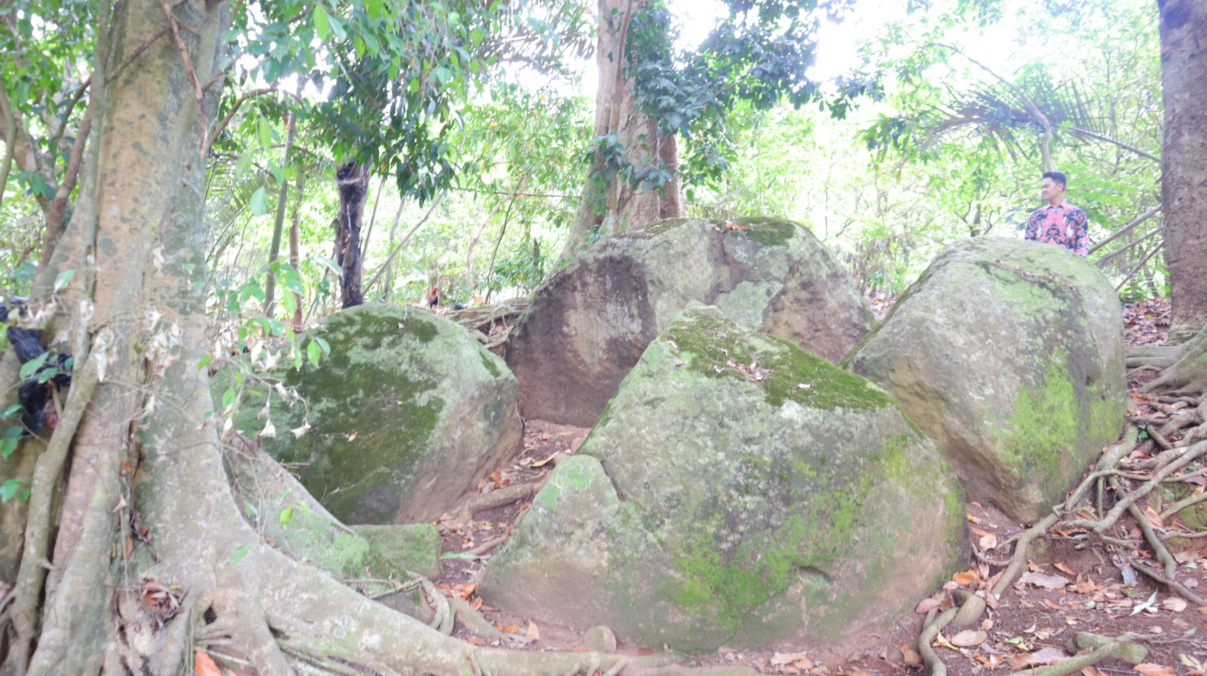 Watu Gajah